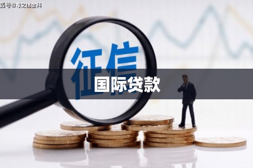 大溪国际贷款