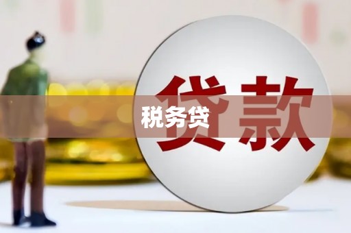 大溪税务贷