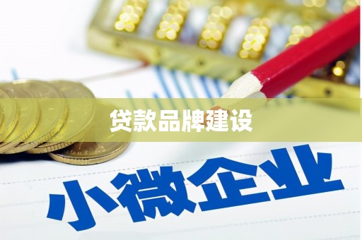 大溪贷款品牌建设