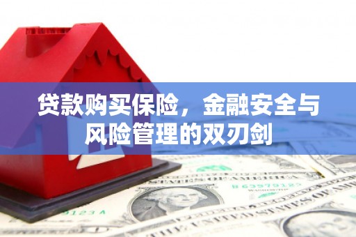 大溪贷款购买保险，金融安全与风险管理的双刃剑