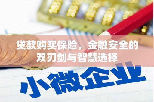 大溪贷款购买保险，金融安全的双刃剑与智慧选择