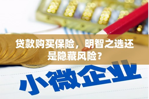大溪贷款购买保险，明智之选还是隐藏风险？