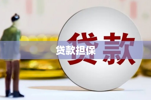 大溪贷款担保