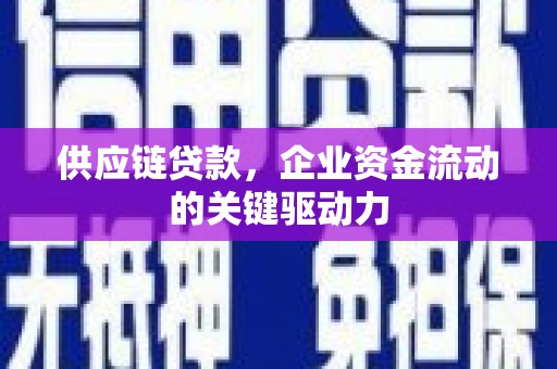 大溪供应链贷款，企业资金流动的关键驱动力