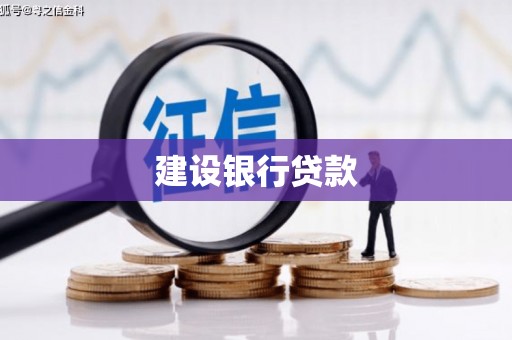 大溪建设银行贷款