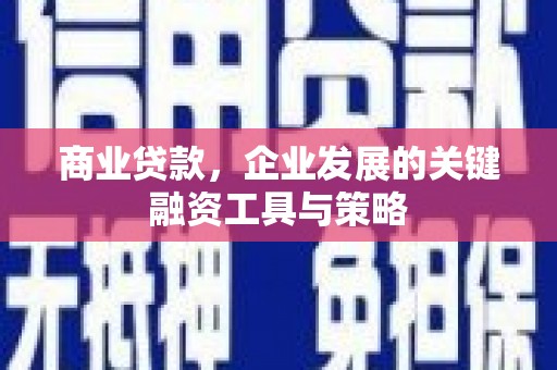 大溪商业贷款，企业发展的关键融资工具与策略