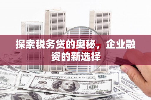 大溪探索税务贷的奥秘，企业融资的新选择