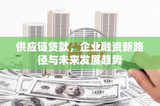 大溪供应链贷款，企业融资新路径与未来发展趋势