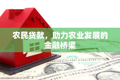 大溪农民贷款，助力农业发展的金融桥梁