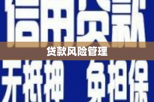 大溪贷款风险管理