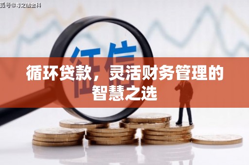 大溪循环贷款，灵活财务管理的智慧之选