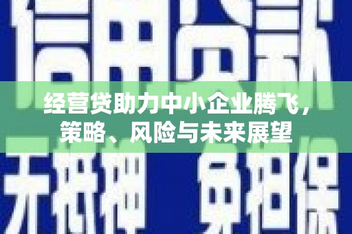 大溪经营贷助力中小企业腾飞，策略、风险与未来展望