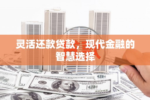 大溪灵活还款贷款，现代金融的智慧选择