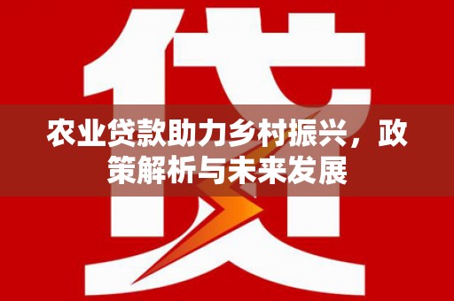 大溪农业贷款助力乡村振兴，政策解析与未来发展