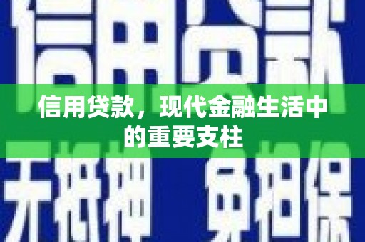 大溪信用贷款，现代金融生活中的重要支柱