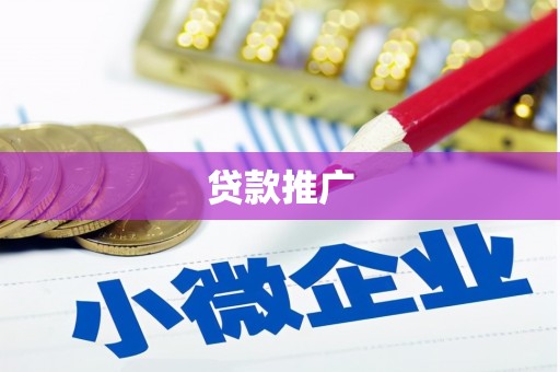 大溪贷款推广