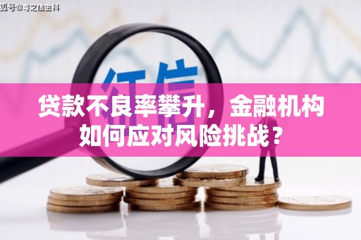 大溪贷款不良率攀升，金融机构如何应对风险挑战？