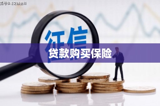 大溪贷款购买保险