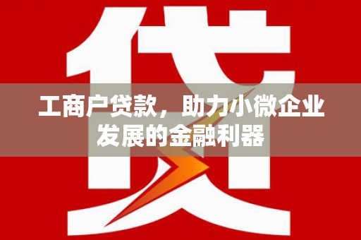 大溪工商户贷款，助力小微企业发展的金融利器