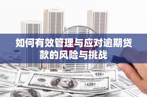大溪如何有效管理与应对逾期贷款的风险与挑战