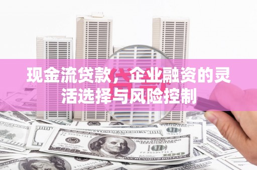大溪现金流贷款，企业融资的灵活选择与风险控制