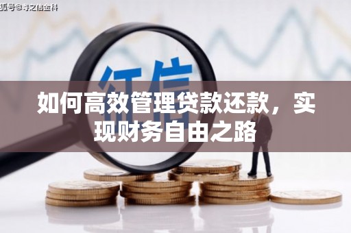 大溪如何高效管理贷款还款，实现财务自由之路