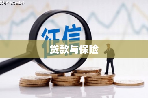 大溪贷款与保险