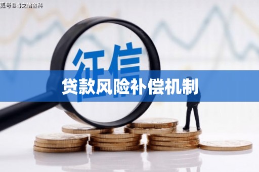 大溪贷款风险补偿机制