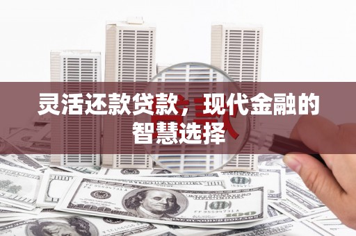 大溪灵活还款贷款，现代金融的智慧选择