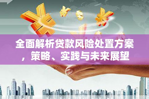 大溪全面解析贷款风险处置方案，策略、实践与未来展望
