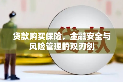 大溪贷款购买保险，金融安全与风险管理的双刃剑