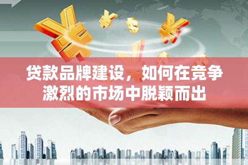 大溪贷款品牌建设，如何在竞争激烈的市场中脱颖而出