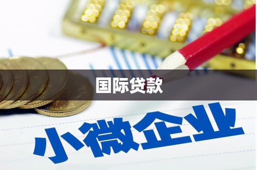 大溪国际贷款