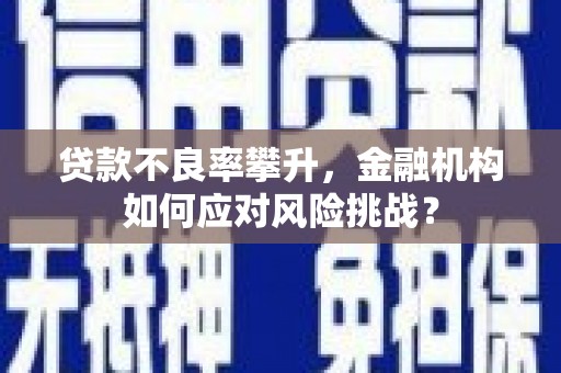 大溪贷款不良率攀升，金融机构如何应对风险挑战？