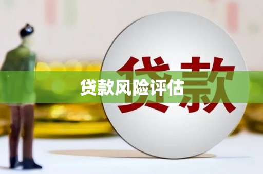 大溪贷款风险评估