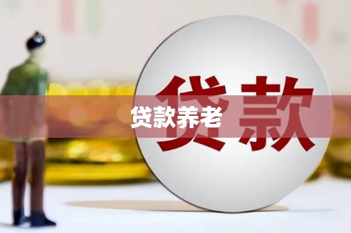 大溪贷款养老