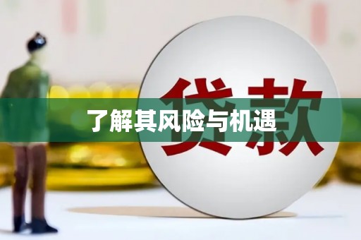 大溪了解其风险与机遇