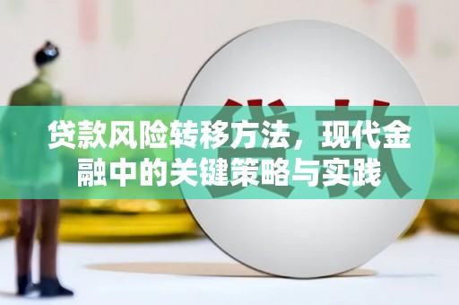 大溪贷款风险转移方法，现代金融中的关键策略与实践