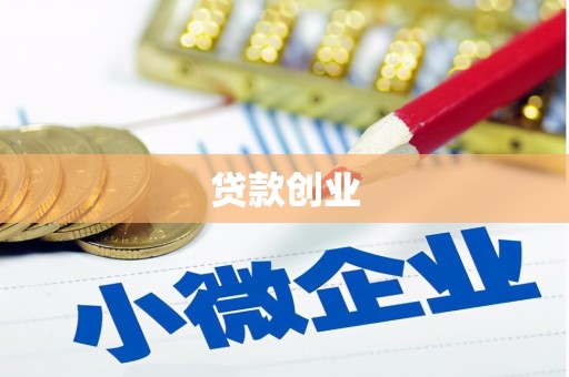 大溪贷款创业