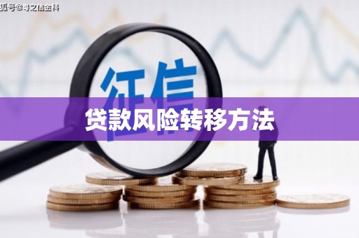 大溪贷款风险转移方法