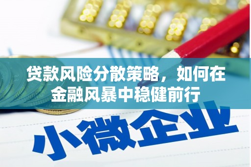 大溪贷款风险分散策略，如何在金融风暴中稳健前行