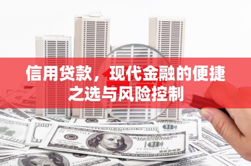 大溪信用贷款，现代金融的便捷之选与风险控制
