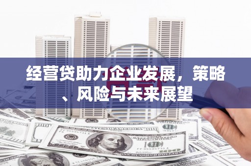 大溪经营贷助力企业发展，策略、风险与未来展望