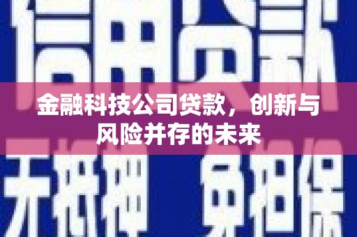 大溪金融科技公司贷款，创新与风险并存的未来