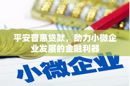 大溪平安普惠贷款，助力小微企业发展的金融利器