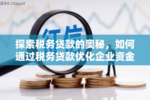 大溪探索税务贷款的奥秘，如何通过税务贷款优化企业资金流
