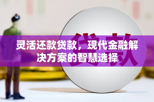 大溪灵活还款贷款，现代金融解决方案的智慧选择