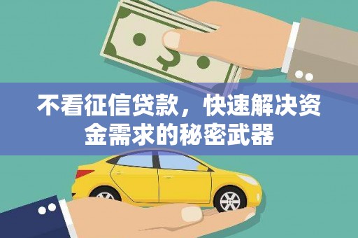 大溪不看征信贷款，快速解决资金需求的秘密武器