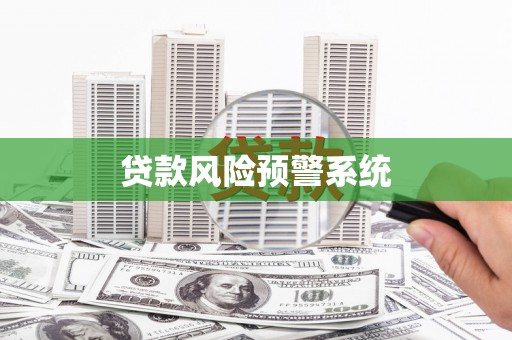 大溪贷款风险预警系统