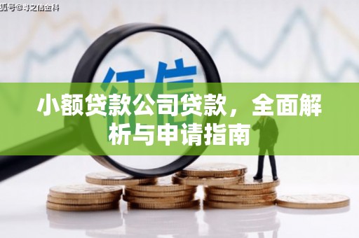 大溪小额贷款公司贷款，全面解析与申请指南
